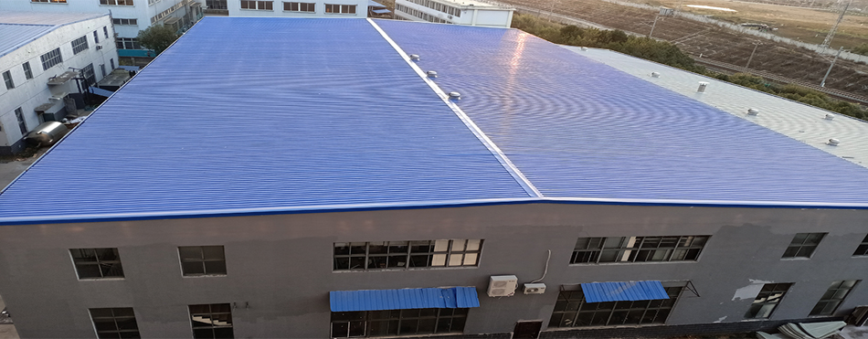 IMG20211125164842.jpg IMG20211125164842.jpg